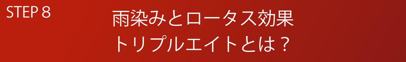 STEP8 雨染みとロータス効果トリプルエイトとは?