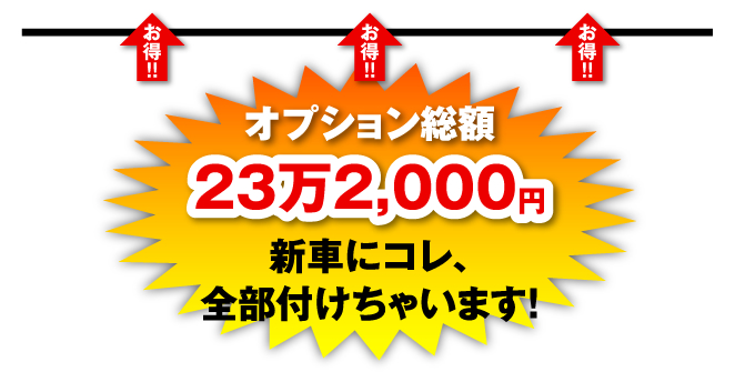 お得！オプション総額23万2,000円新車にコレ、全部付けちゃいます！